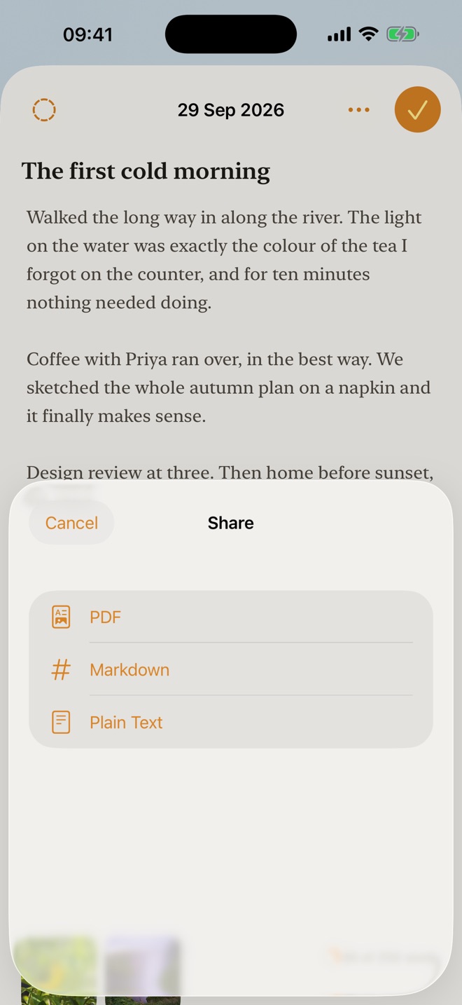 Screenshot 8: the export sheet with a PDF preview